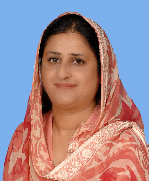 Mahreen Razaque Bhutto