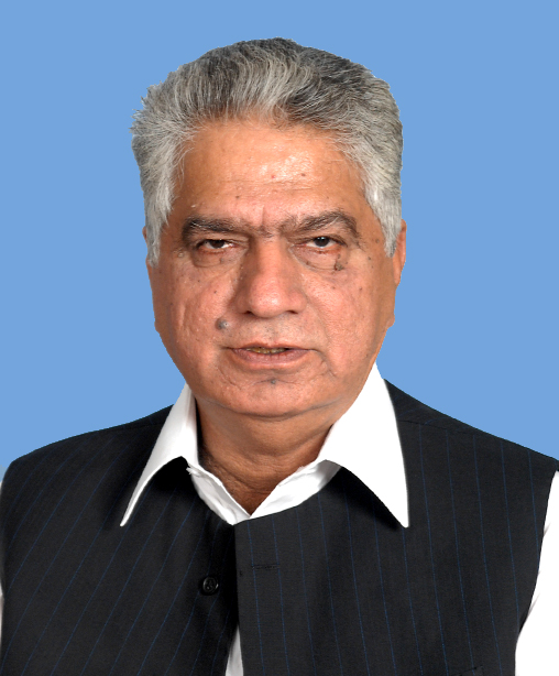 Mian Najeebuddin Awaisi