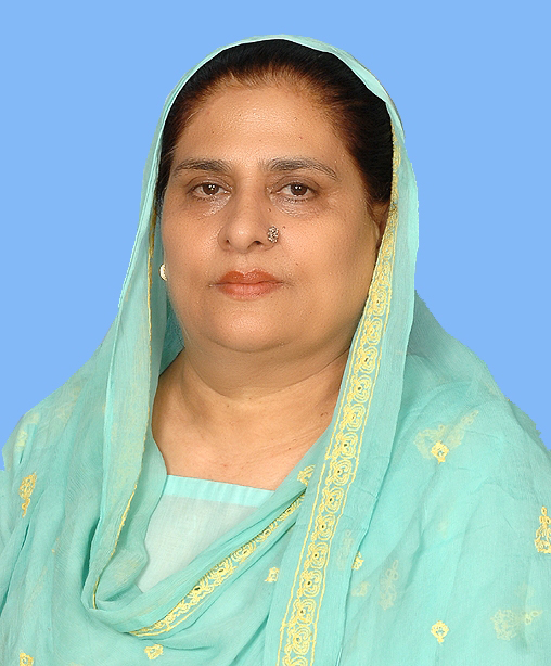 Seema Mohiuddin Jameeli